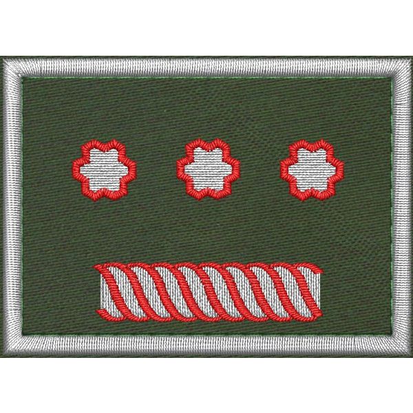 Patch Ricamata grado (Vice Presidente Nazionale Ruolo D17 )