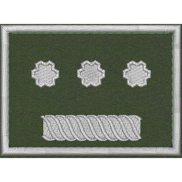 Patch Ricamata grado (incarico ruolo  D14 ) base verde  cm. 7 x 4 Cod. 20260734_A