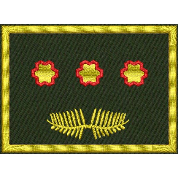 Patch Ricamata grado ( ruolo interregionale-regionale coordinatore D10 ) base verde  cm. 7,5 x 4