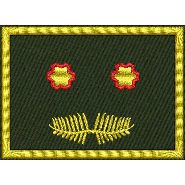 Patch Ricamata grado ( ruolo VICE interregionale-regionale coordinatore D09 )