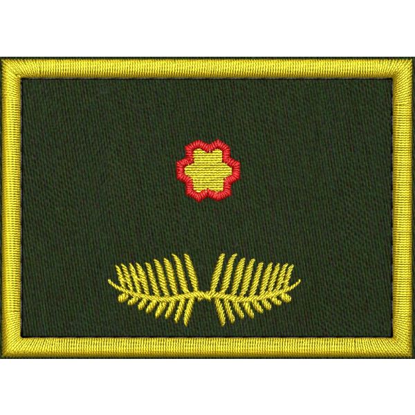 Patch Ricamata grado ( ruolo regionale SOSTITUTO D08 ) base verde  