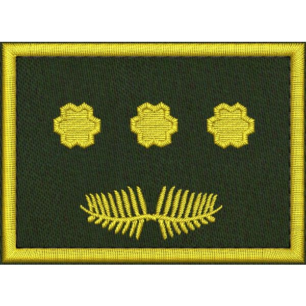 Patch Ricamata grado ( ruolo regionale D07 ) 