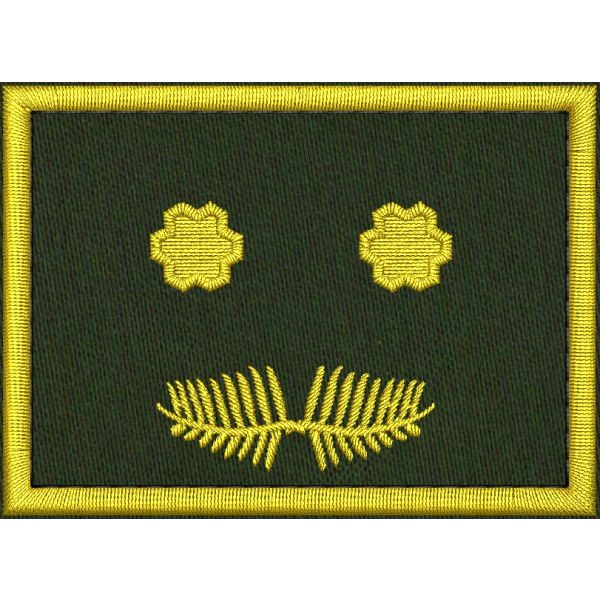 Patch Ricamata grado ( ruolo VICE regionale D06 ) base verde