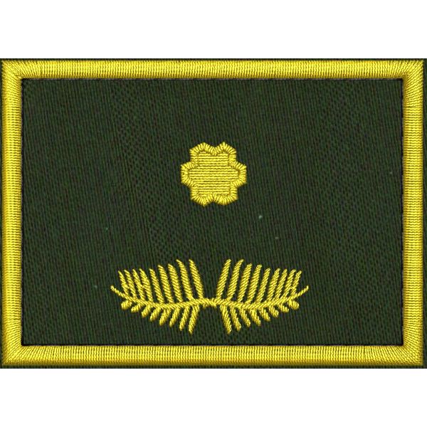 Patch Ricamata grado ( ruolo regionale SOSTITUTO D05 )