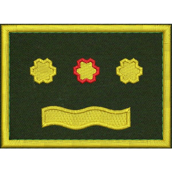 Patch Ricamata grado ( ruolo provinciale coordinatore D4 ) base verde  cm. 7 x 4