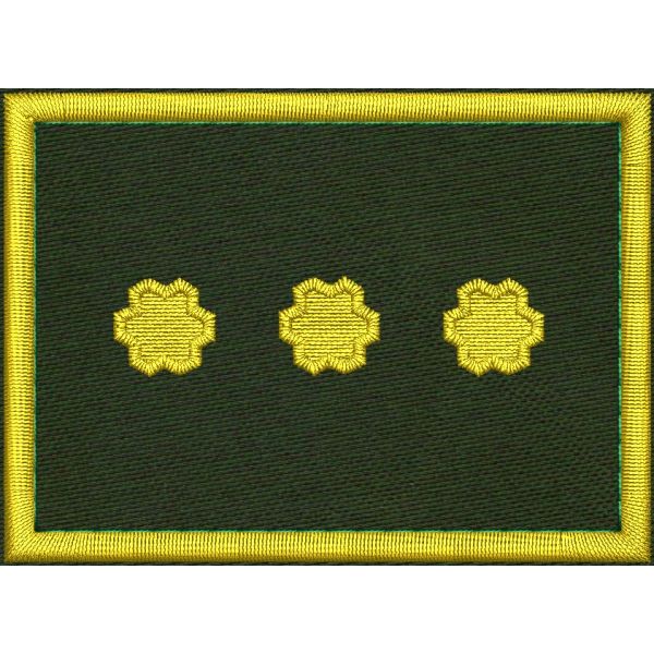 Patch Ricamata grado ( ruolo provinciale  D3 ) base verde  
