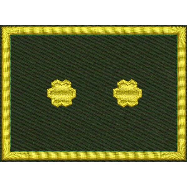 Patch Ricamata grado ( ruolo VICE provinciale sede vacante  D2 ) 