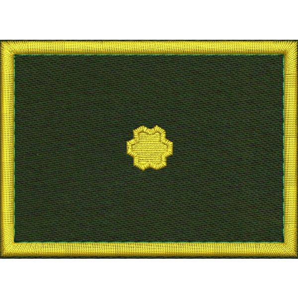 Patch Ricamata grado ( ruolo sostituto provinciale  D1 ) base verde