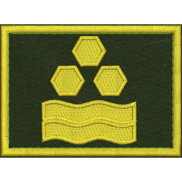 Patch Ricamata grado ( Vice ruolo coordinatore locale  F6 )