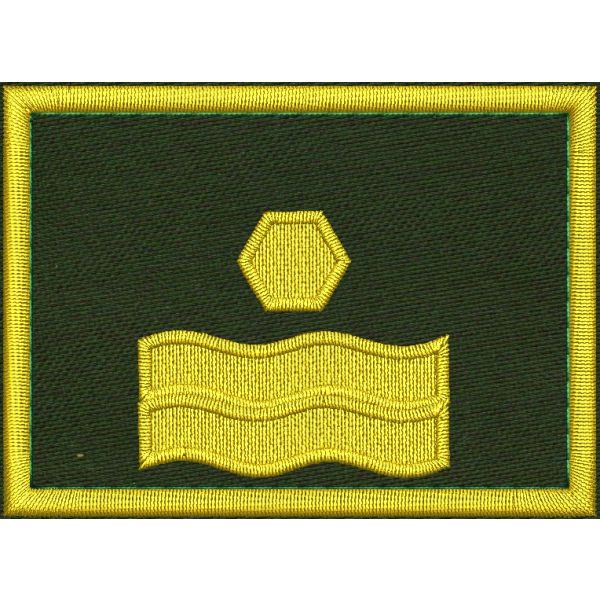 Patch Ricamata grado ( Sostituto coordinatore locale  F5 ) base verde 