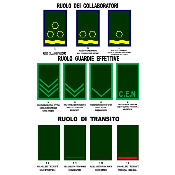Patch Ricamata grado (allievo tirocinante  presidenza nazionali TD ) 