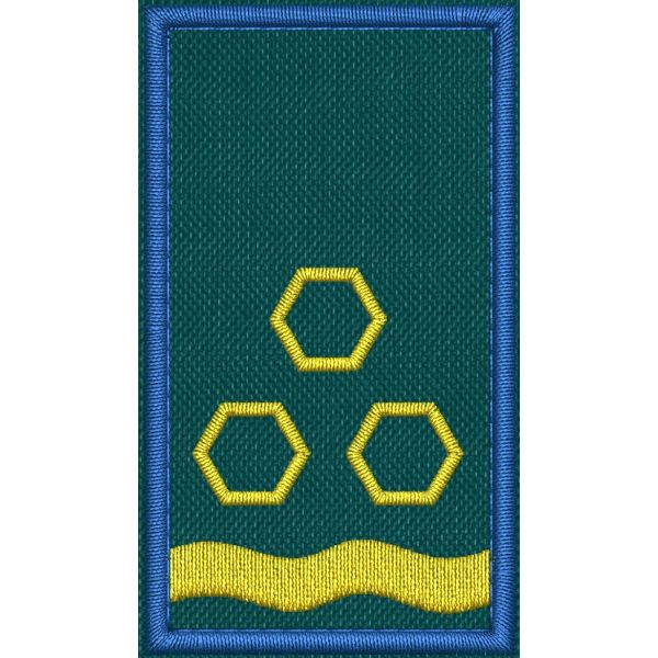 Patch Ricamata grado ( ruolo collaboratore capo F3 ) base verde  cm. 7 x 4