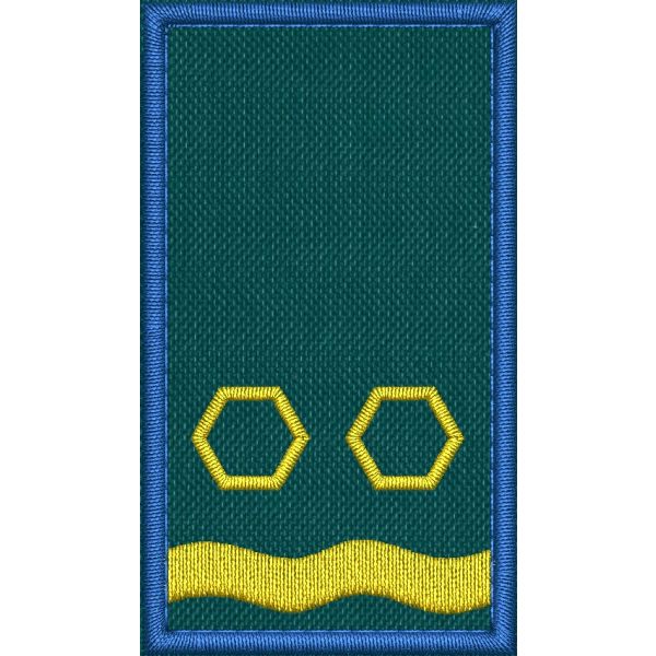 Patch Ricamata grado ( ruolo collab.Vice coordinatore Int. F2 ) base verde 