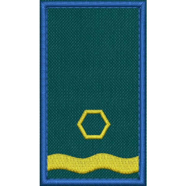 Patch Ricamata grado ( ruolo collab. sostituto coordinatore Int. F1 ) base verde  
