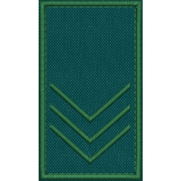Patch Ricamata grado ( ruolo GUARDIA VOLONTARIA EFFETTIVA SUPERIORE G4 )