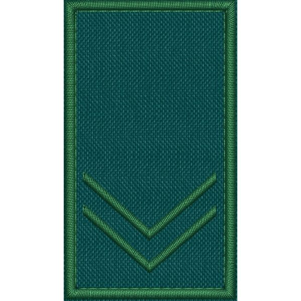 Patch Ricamata grado ( ruolo GUARDIA VOLONTARIA EFFETTIVA VICE COORD. G3 ) 