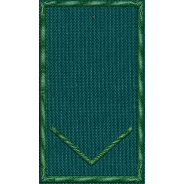 Patch Ricamata grado ( ruolo GUARDIA VOLONTARIA EFFETTIVA. G2 ) base verde  