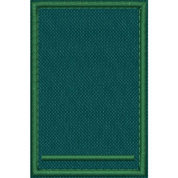 Patch Ricamata grado (allievo collaboratore tirocinante  T F1 ) base verde