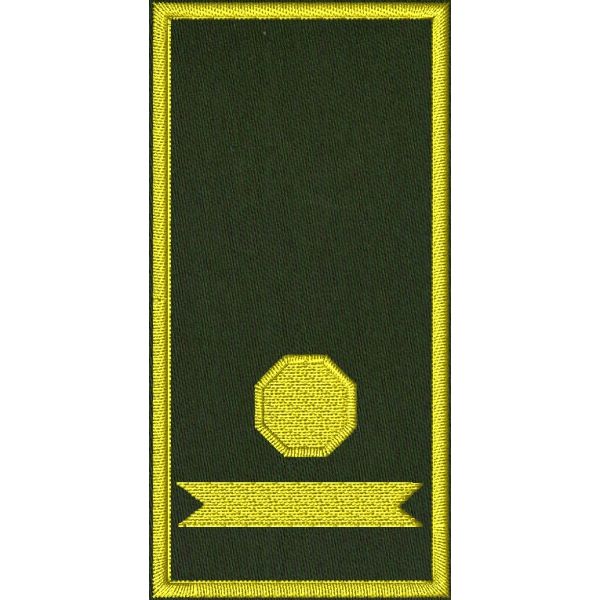 Patch Ricamata N.O.E.T.A.A.  (coordinatore provinciale ) su base verde 
