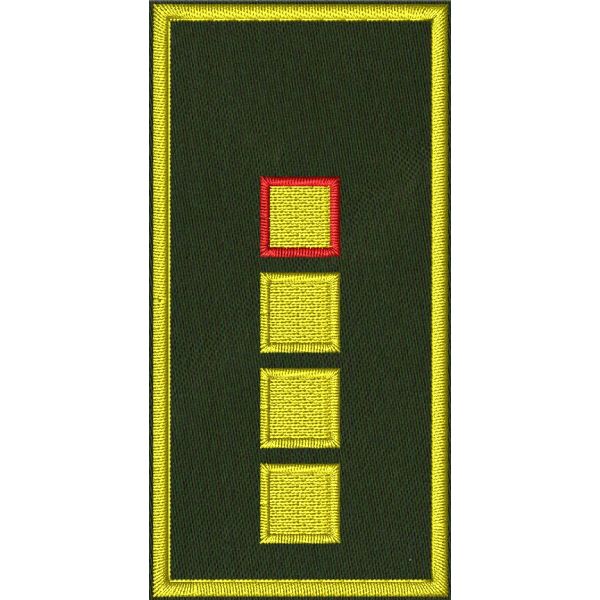 Patch Ricamata N.O.E.T.A.A.  (Vice coordinatore provinciale ) su base verde  cm. 8 x 4 C