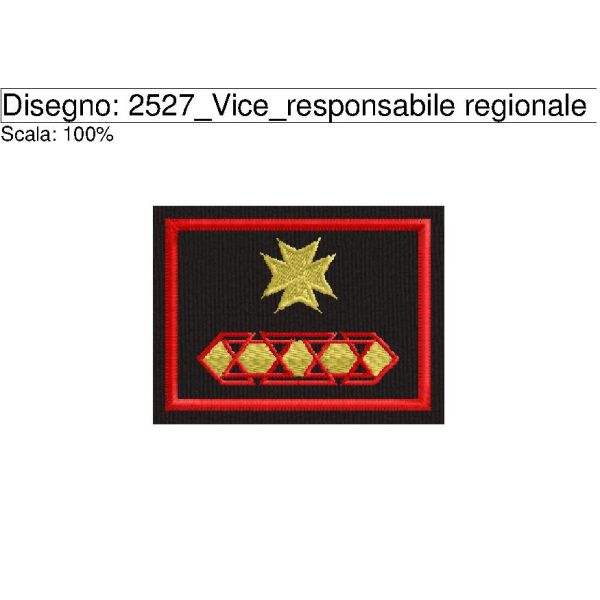 Cod. 2527_Vice_responsabile regionale operativo