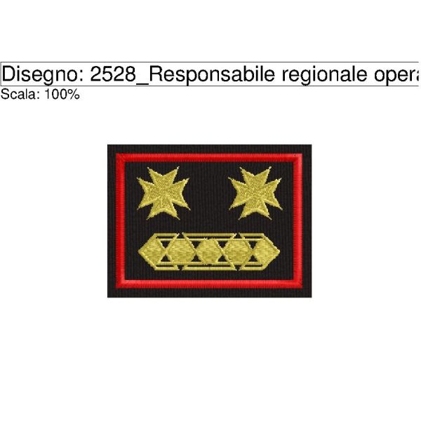 cod. 2528_Responsabile regionale operativo