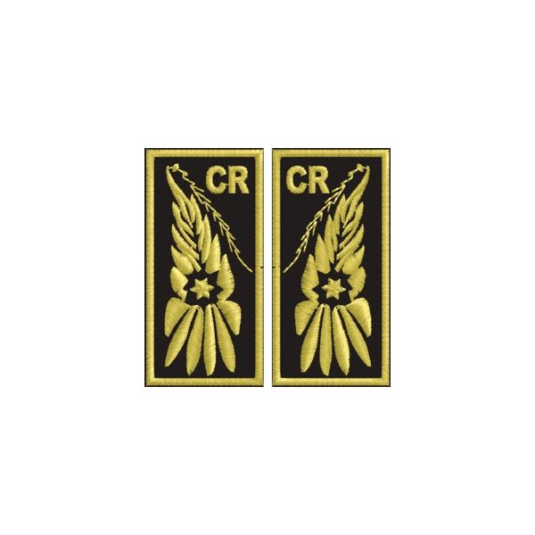 Cod_1103 Coppia Mostrine OP sottufficiali GOLD