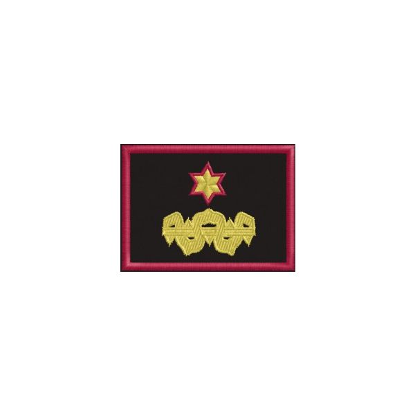 Cod_1507 Patch Ricamato GRADO RESP.NAZ. REGIONALE divisa op