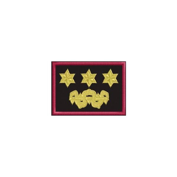 Cod_1504 Patch Ricamato GRADO VICE_RESP. OP.NAZIONALE