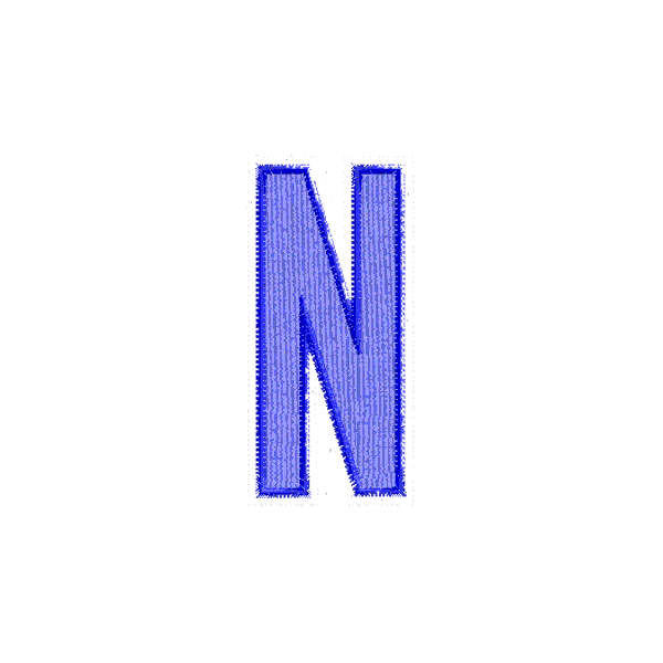 Iniziale ricamata "N"