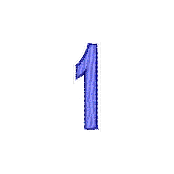 Numero ricamato "1"