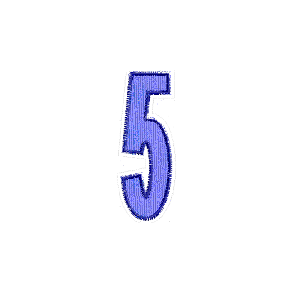 Numero ricamato "5"
