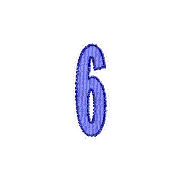 Numero ricamato "6"