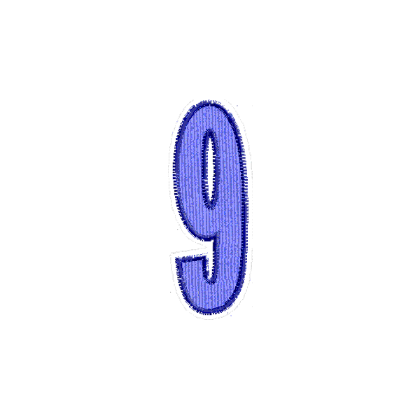 Numero ricamato "9"