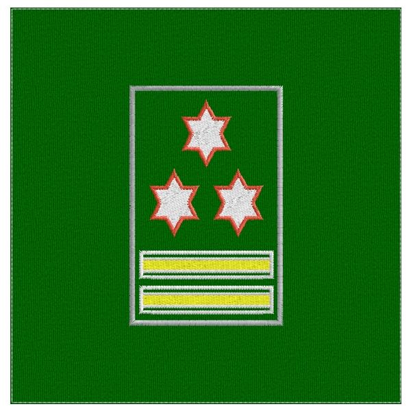 Gradi su fascia tubolare Grado N)Dirigente Generale comandante